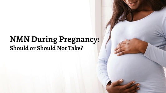 NMN During Pregnancy: Should or Should Not Take?