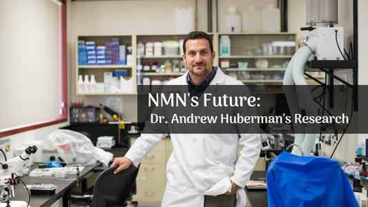 NMN supplements’ future: Dr. Andrew Huberman's research